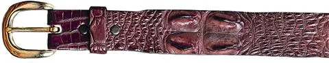Australian Hornback Crocodile Leather Belt BROWN UPFW22