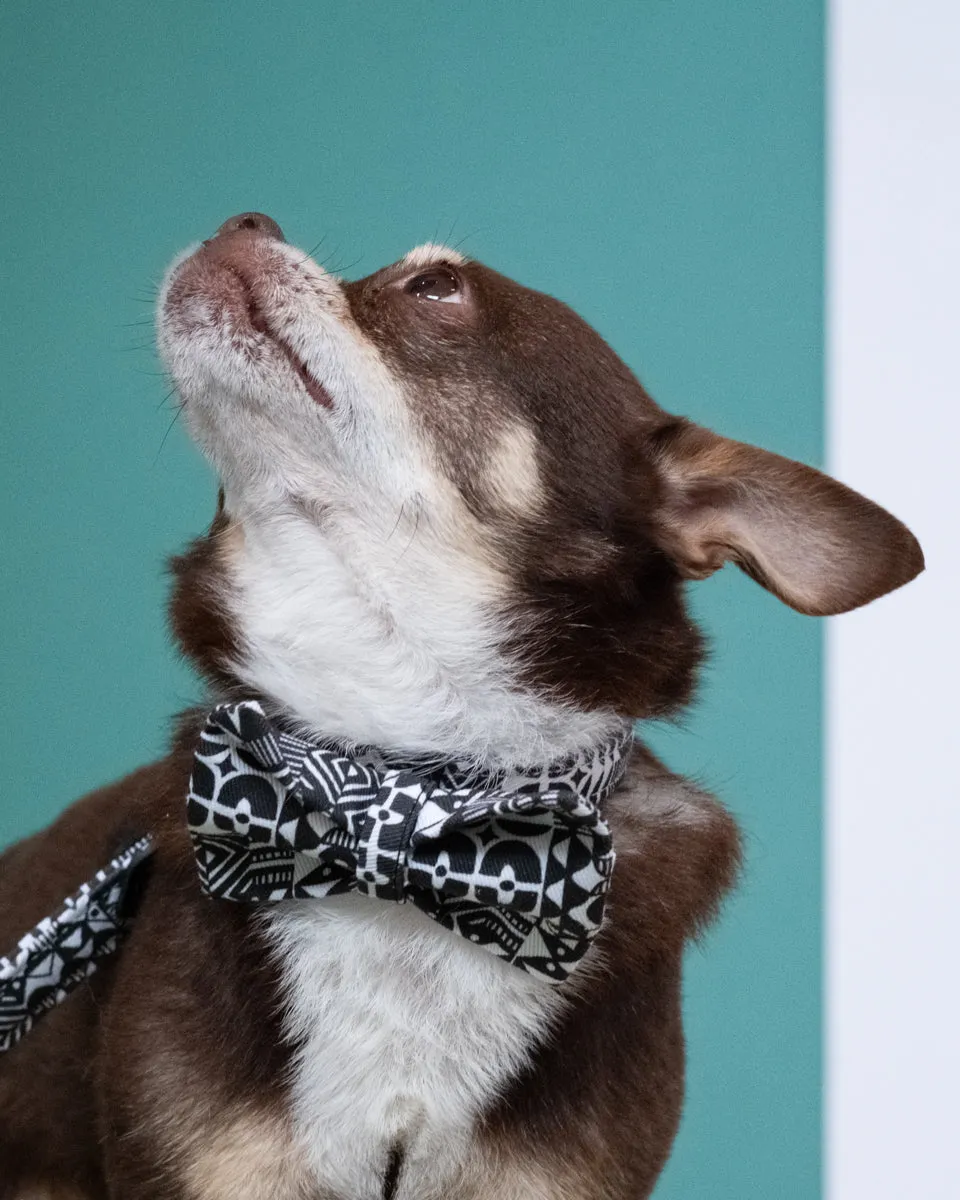 Bow Wow Haus Dog Bow Tie