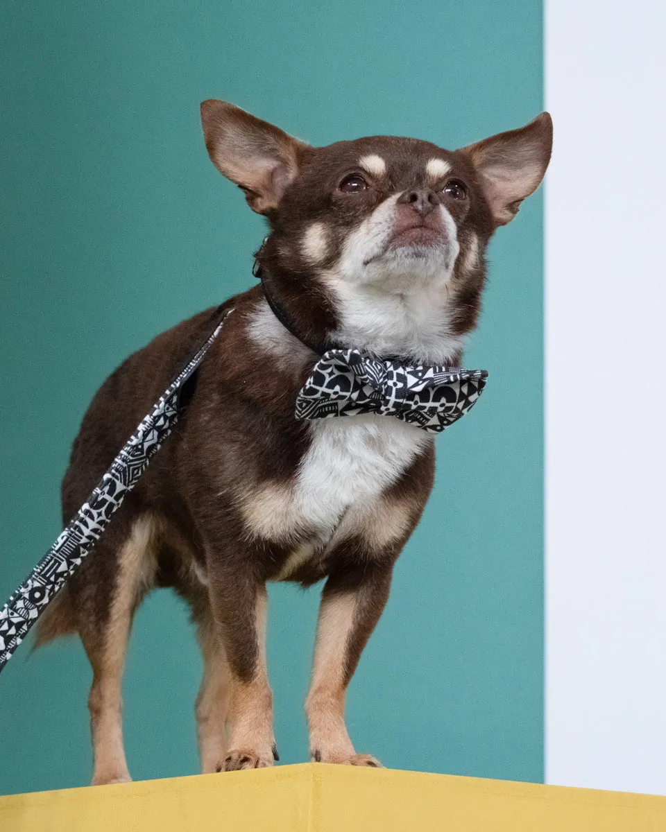 Bow Wow Haus Dog Bow Tie