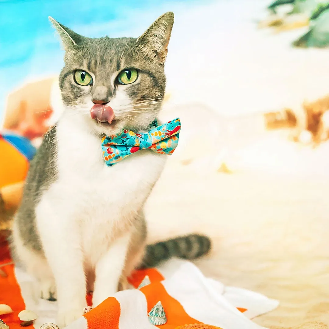 Pet Bow Tie - "Ocean Life" - Aquatic Cat Bow Tie / Summer, Fish, Beach, Sea, Marine / For Cats   Small Dogs (One Size)