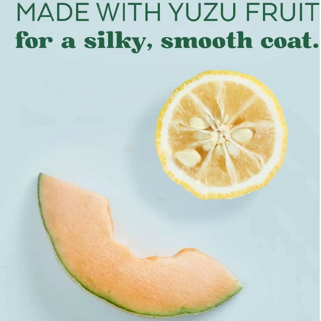 TropiClean Essentials Yuzu Fruit Refreshing Coat Spray For Dogs (8 oz)